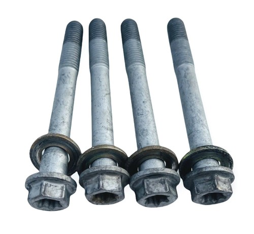 Injector bolts 420441187 lot - bolts,